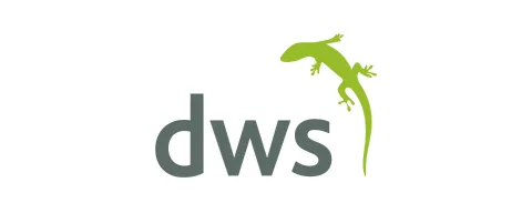 DEVELOPING WORLD SYSTEMS LIMITED logo
